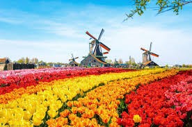 Lí do khiến Hà Lan trở thành quốc gia đặc biệt nhất thế giới